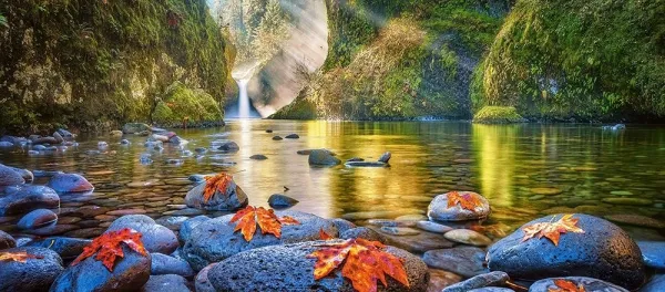 Steamy Mornings - 600pc Jigsaw Puzzle By Castorland