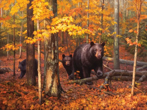 Many Faces of the Woods - 1000pc Jigsaw Puzzle by SunsOut
