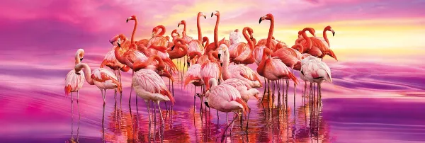 Flamingo Dance - 1000pc Panoramic Jigsaw Puzzle by Clementoni