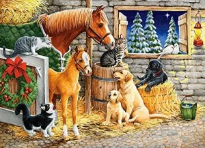 Gathering Friends - 300pc Jigsaw Puzzle By Castorland