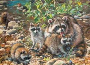 Raccoon Family - 350pc Family Jigsaw Puzzle by Cobble Hill