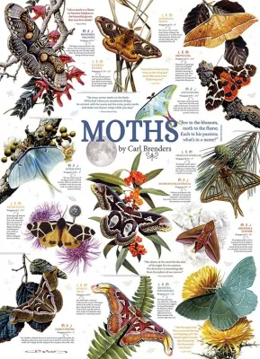 Moth Collection - 1000pc Jigsaw Puzzle by Cobble Hill