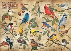Popular Backyard Wild Birds of North America - 1000pc Jigsaw Puzzle by Cobble Hill
