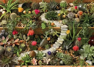 Succulent Garden - 1000pc Jigsaw Puzzle by Cobble Hill