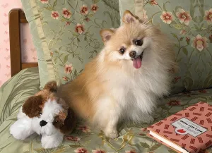 Bedtime - 500pc Jigsaw Puzzle By Cobble Hill