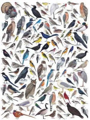 Birds of Western America - 1000pc Jigsaw Puzzle by New York Puzzle Company