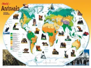 World Animals - 300pc Jigsaw Puzzle by New York Puzzle Company