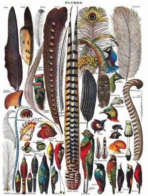 Feathers - 1000pc Jigsaw Puzzle by New York Puzzle Company