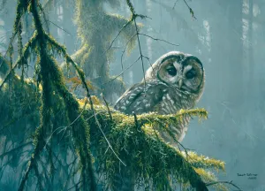 Mossy Branches, Spotted Owl - 500pc Jigsaw Puzzle By Cobble Hill