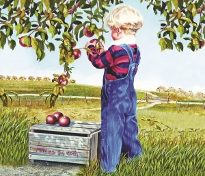 Apple Picking - 550pc Jigsaw Puzzle By Sunsout