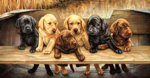 All Hands on Deck - 500pc Jigsaw Puzzle By Sunsout