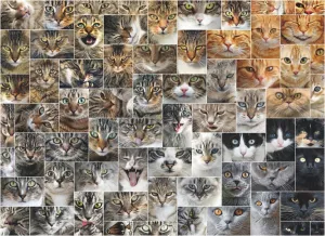 Cat Faces - 1000pc Jigsaw Puzzle By D-Toys