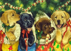 Stocking Puppies - 1000pc Jigsaw Puzzle by Vermont Christmas Company