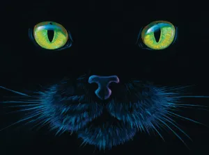 Black Cat - 1000pc Jigsaw Puzzle by SunsOut