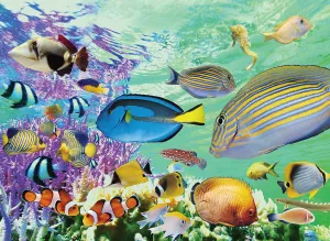 Tropical Marine - 500pc Jigsaw Puzzle by Tomax
