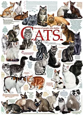 Cat Quotes - 1000pc Jigsaw Puzzle by Cobble Hill