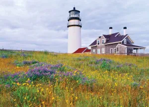 Wildflowers At Cape Cod Light - 1000pc Jigsaw Puzzle (discon)