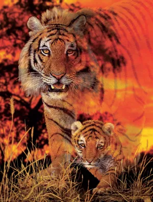 Baby Steps - 500pc Jigsaw Puzzle By Sunsout