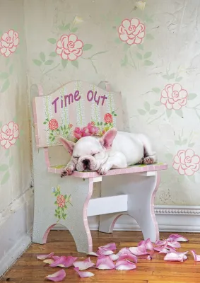 Taking Time Out, Lisa Jane - 500pc Jigsaw Puzzle by Educa
