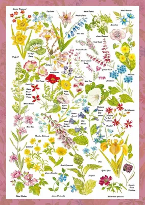 Wild Flowers - 1000pc Jigsaw Puzzle by Schmidt