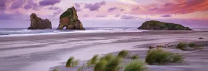 Wharariki Beach - 1000pc Panoramic Jigsaw Puzzle By Heye