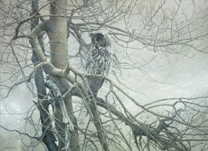 Ghost of the North - 1000pc Jigsaw Puzzle By Cobble Hill