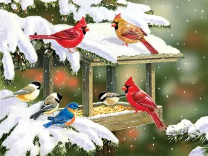 Winter Snacks - 500pc Jigsaw Puzzle By Sunsout