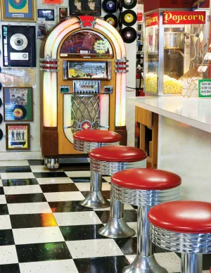 The Malt Shop - 36pc Jigsaw Puzzle By Springbok