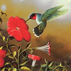 Ruby Throat - 500pc Jigsaw Puzzle By Sunsout
