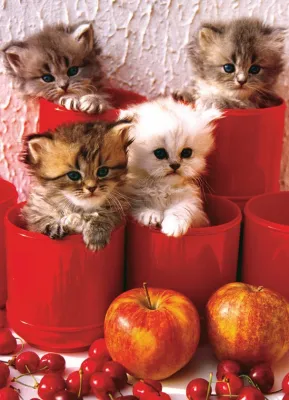 Kittens in Pots - 1000pc Jigsaw Puzzle by Eurographics