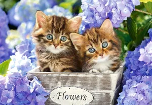 Cute Kittens - 1500pc Jigsaw Puzzle By Castorland