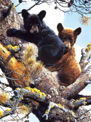 Adventure in the treetops - 300pc Jigsaw Puzzle by Sunsout