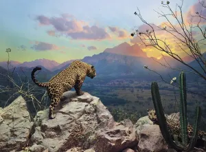 Jaguar Diorama - 1000pc Jigsaw Puzzle by Pomegranate