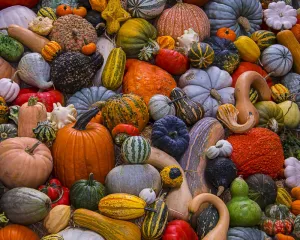 Autumn Harvest - 1000pc Jigsaw Puzzle by Vermont Christmas Company
