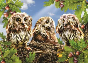 Hear No Speak No See No - 300pc Large Format Jigsaw Puzzle by Sunsout