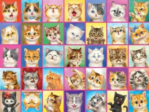 Cats, Cats, Cats - 1500pc Jigsaw Puzzle by Ceaco