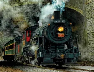 Green Mountain Express - 100pc Jigsaw Puzzle By Springbok