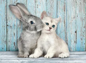 Cat &amp; Bunny - 500pc Jigsaw Puzzle by Clementoni