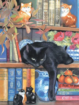On the Shelf - 1000pc Jigsaw Puzzle by Sunsout