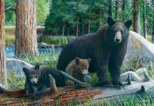 Daniel: New Discoveries - 1000pc Jigsaw Puzzle by Eurographics