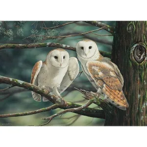 Wild Wings: At Dusk We Fly - 1000pc Jigsaw Puzzle by Holdson