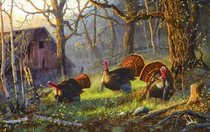 Kings of the Hill - 550pc Jigsaw Puzzle by SunsOut