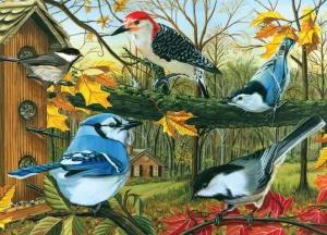 Backyard Feeder - 1000pc Jigsaw Puzzle By Jack Pine
