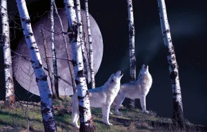 Night Call - 1000pc Jigsaw Puzzle By Sunsout