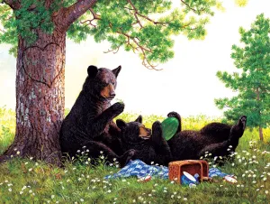 Stolen Moments - 500pc Jigsaw Puzzle By Sunsout