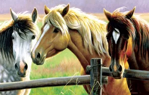 Horse Fence - 1000pc Jigsaw Puzzle By Sunsout