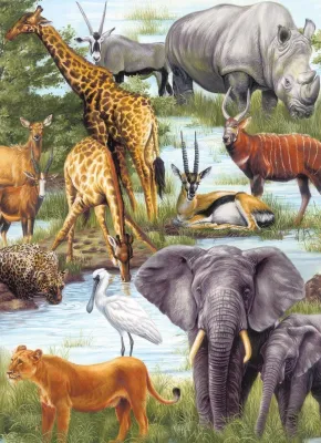 Animal Kingdom - 60pc Jigsaw Puzzle by Springbok