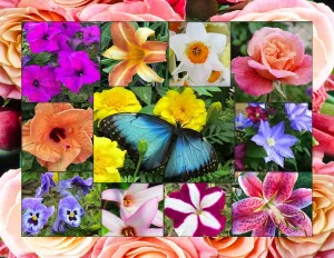 In Bloom - 500pc Jigsaw Puzzle By Springbok