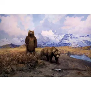 Alaska Brown Bear Diorama - 1000pc Jigsaw Puzzle by Pomegranate