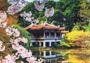 Blossomo in Japan - 1000pc Jigsaw Puzzle By Jumbo